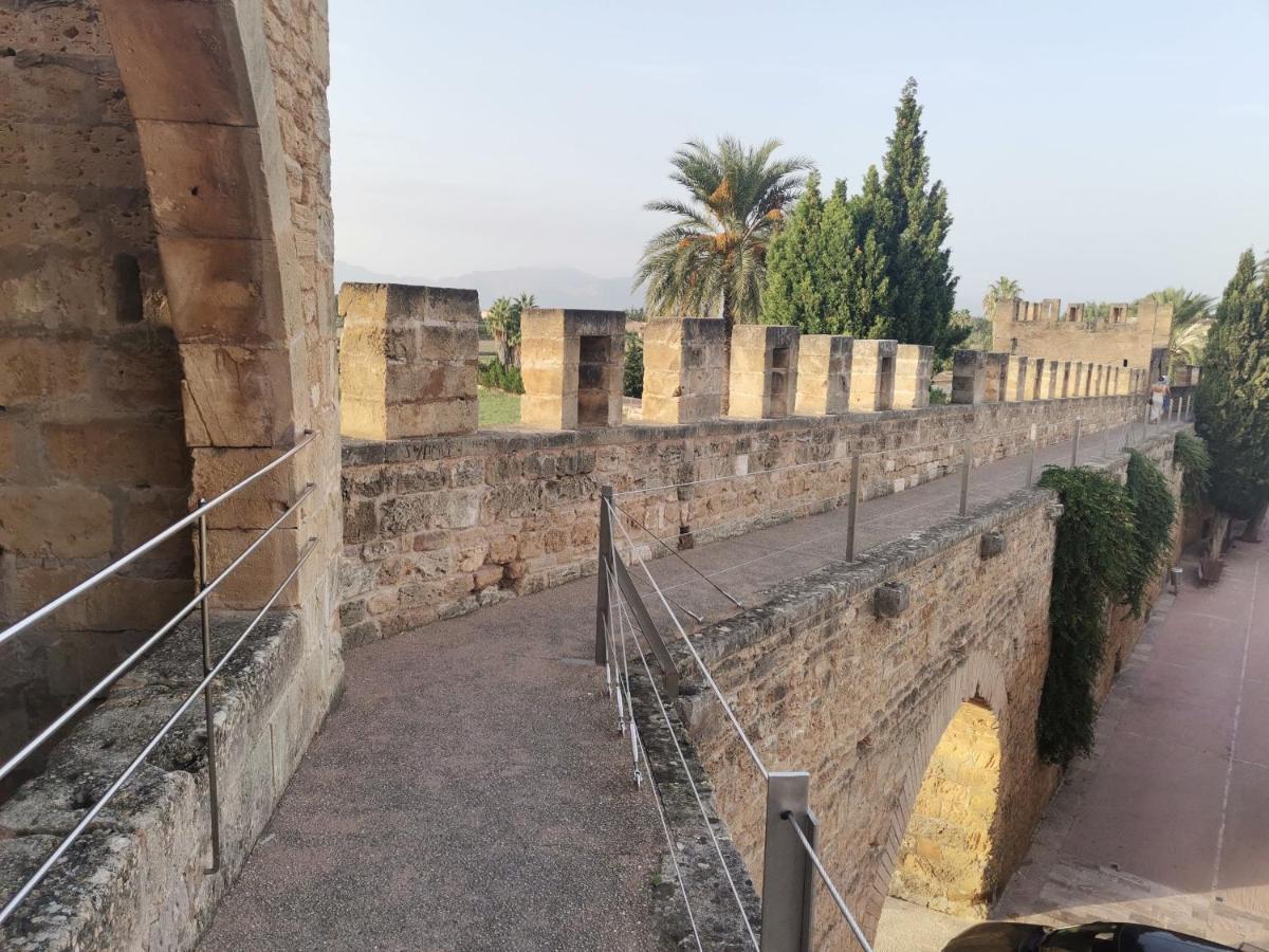 Portet Apartamento Alcudia  Zewnętrze zdjęcie